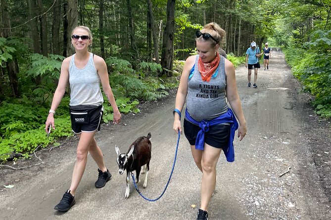 Goat Hiking, Beaver Dam Visit and picnic in Quebec forest - Price and value: is $78.86 worth it?