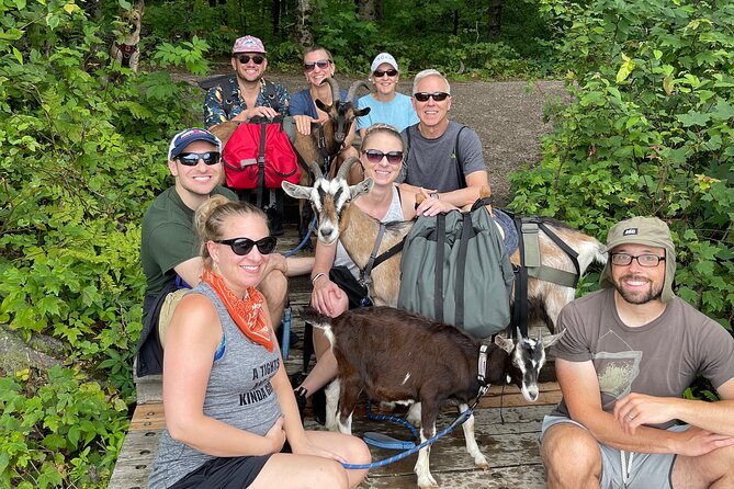 Goat Hiking, Beaver Dam Visit and picnic in Quebec forest - Practical tips to make the day smooth