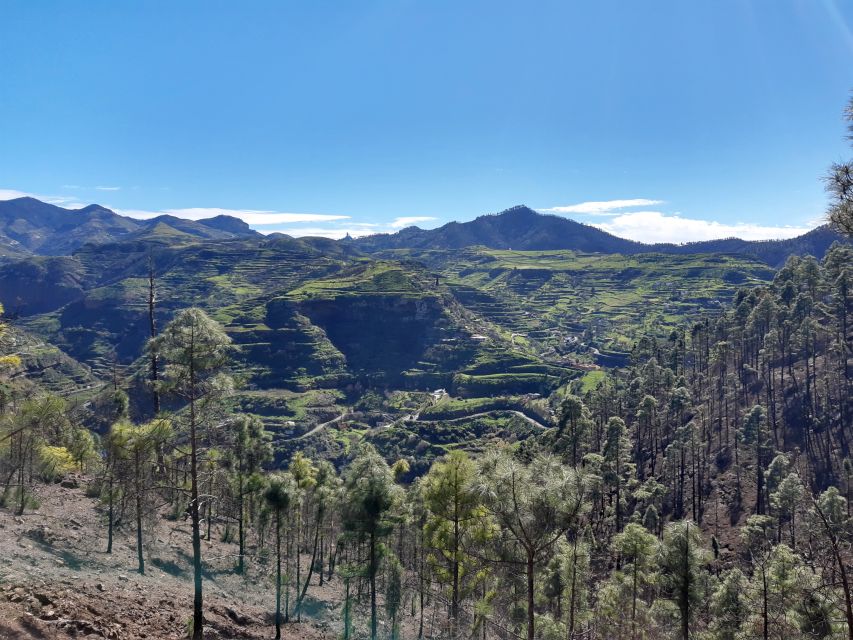 Gran Canaria: Full-Day Guided Hiking With Snacks - What to bring (and what to wear) for a 9-hour Gran Canaria day