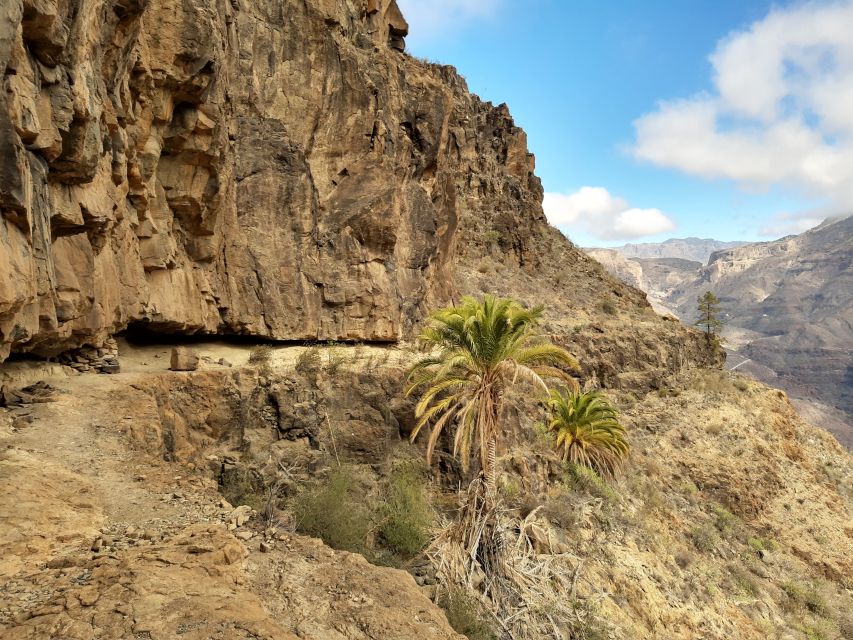 Gran Canaria: Full-Day Guided Hiking With Snacks - FAQ