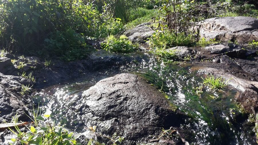 Gran Canaria: "Magic Waterfalls" Hiking Tour - Key Things I’d Know Before You Go