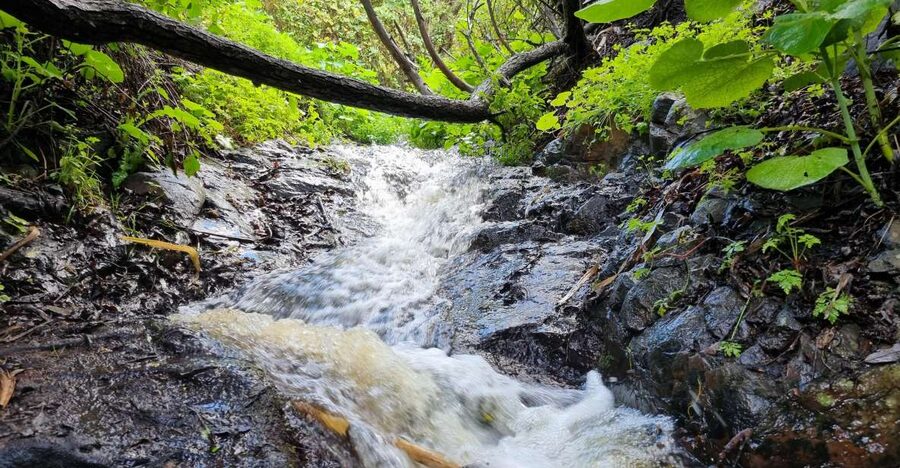 Gran Canaria: "Magic Waterfalls" Hiking Tour - Route Snapshot: The Numbers That Tell You How Hard It Really Is