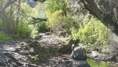 Gran Canaria: "Magic Waterfalls" Hiking Tour - The Guide and Group Size: Why the Experience Feels Managed