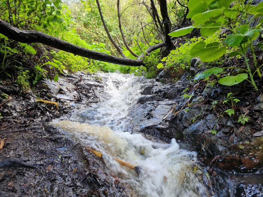 Gran Canaria: "Magic Waterfalls" Hiking Tour - Lunch and Canarian Atmosphere After the Hike