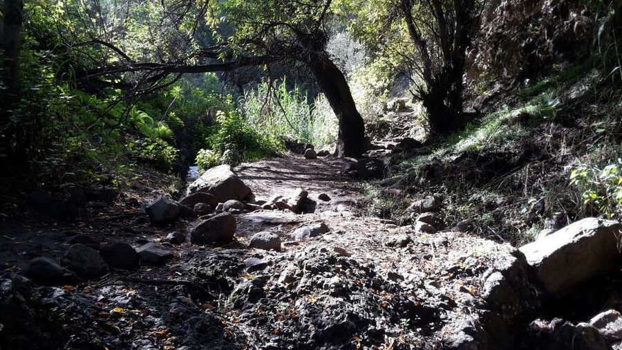 Gran Canaria: "Magic Waterfalls" Hiking Tour - Safety and the Fear-of-Heights Note (What You Should Actually Do)