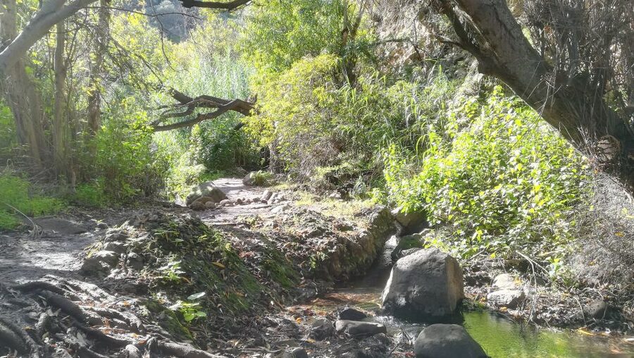Gran Canaria: "Magic Waterfalls" Hiking Tour - The Guide and Group Size: Why the Experience Feels Managed