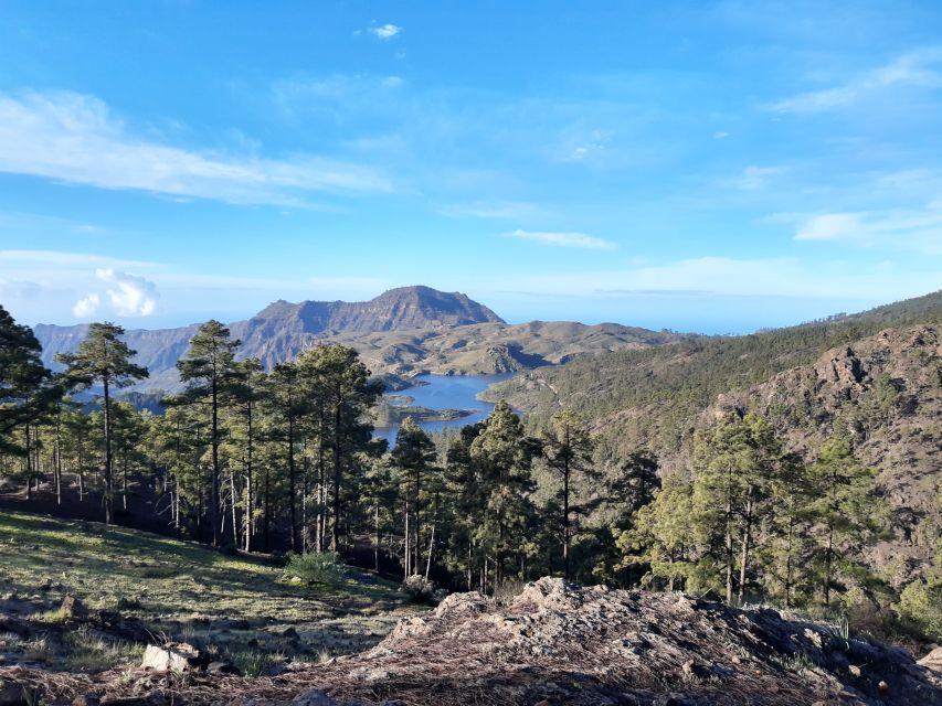 Gran Canaria: "Peaks of Gran Canaria" Hiking Tour - The Central Peaks Get You Away From the Beach Fast