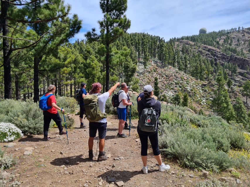 Gran Canaria: "Peaks of Gran Canaria" Hiking Tour - Near Pico de las Nieves: The Views Are the Point