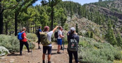 Gran Canaria: "Peaks of Gran Canaria" Hiking Tour - Trek Specs: 7 km vs 10 km and What the Climb Really Means