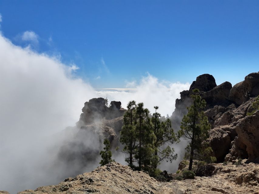 Gran Canaria: "Peaks of Gran Canaria" Hiking Tour - Canarian Pine Forests and Rock Formations: What You Walk Through