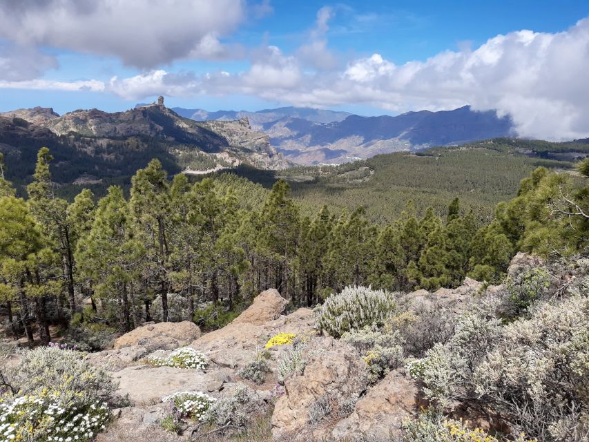 Gran Canaria: "Peaks of Gran Canaria" Hiking Tour - Lunch at a Local Restaurant: Where the Day Becomes a Meal