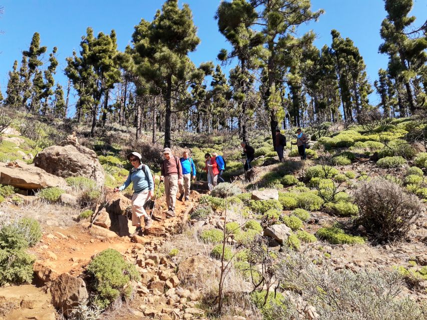 Gran Canaria: "Peaks of Gran Canaria" Hiking Tour - Price and Value: Why $82 Can Actually Make Sense