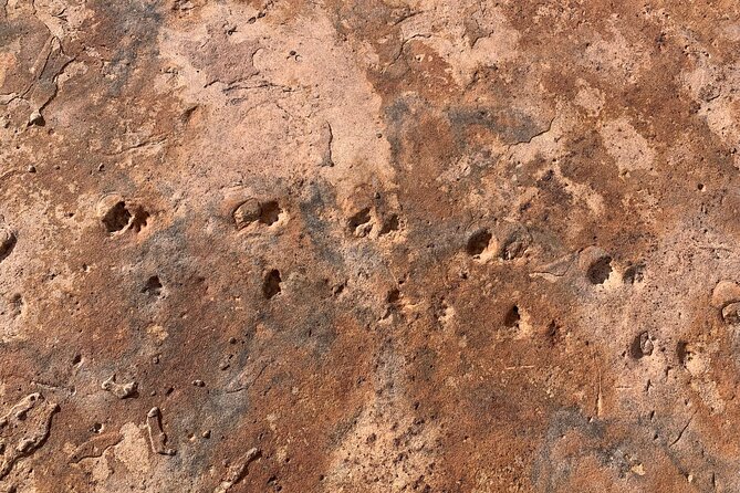 Grand Canyon Biblical Creation Hiking Tour • South Kaibab Trail - Price and value: why $179 can make sense