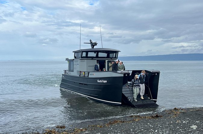 Grewingk Glacier Hike in Kachemak Bay - Who this hike is best for (and who should think twice)