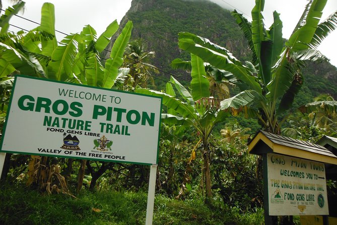 Gros Piton Hike with Dannyboy & Co. - Coming down: water, beer, and how the finish line works