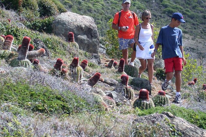 Guana Bay Coastal Hike - A guided east-coast hike from Guana Bay to Geneve Bay