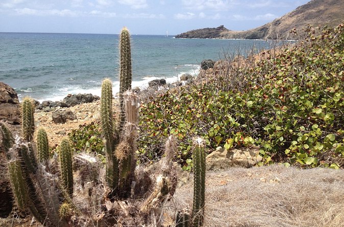Guana Bay Coastal Hike - The guide makes the difference: safety and real island facts