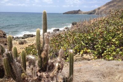 Guana Bay Coastal Hike - What the 2.5-hour walk feels like (and what to watch for)
