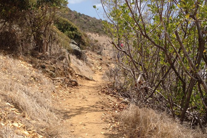 Guana Bay Coastal Hike - Who this hike suits best (and who should skip it)
