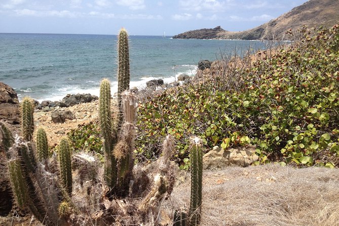 Guana Bay Coastal Hike - What the 2.5-hour walk feels like (and what to watch for)