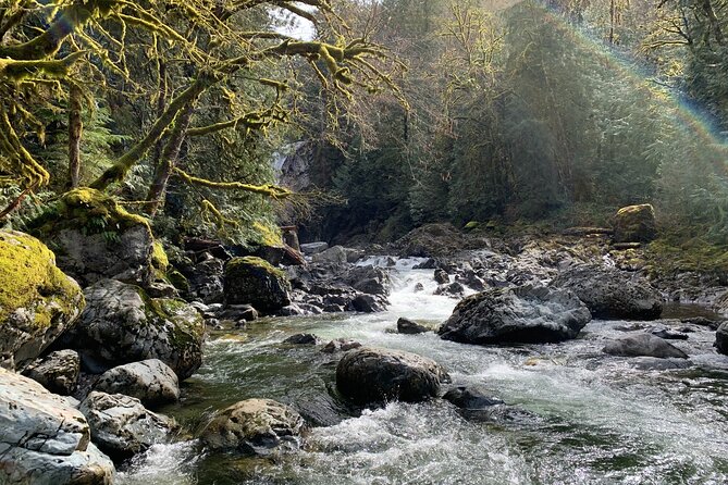 Guided forest hike to Seattle waterfalls incl. Snoqualmie Falls - North Bend and Snoqualmie: Twin Peaks Vibes and Steam-Era Relics