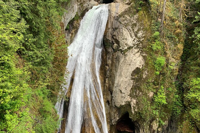 Guided forest hike to Seattle waterfalls incl. Snoqualmie Falls - Price and Value: Is $79 Worth It?