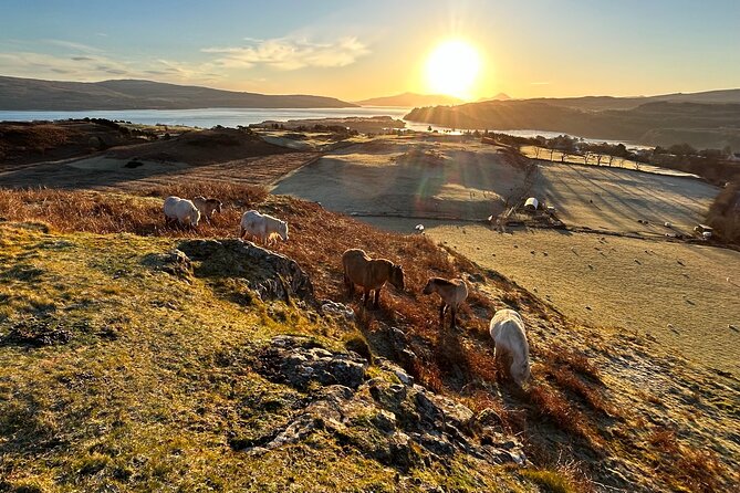 Guided Hebridean Farm Hike near Tobermory, Isle of Mull, Scotland - Who should book this hike (and who should skip it)