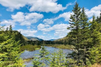 Guided Hike in Jacques-Cartier National Park - Food tastings and lunch: local products, plus a reality check