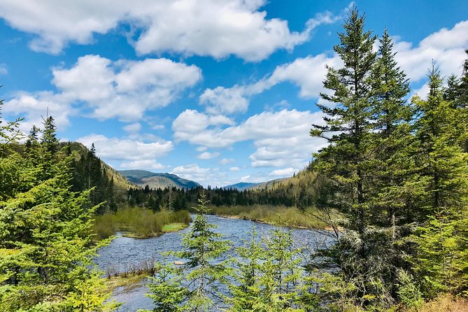 Guided Hike in Jacques-Cartier National Park - Food tastings and lunch: local products, plus a reality check