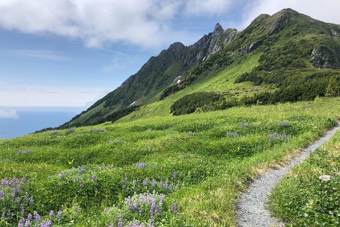 Guided Hike in Sitka, Alaska - Key Highlights You’ll Feel From the Start