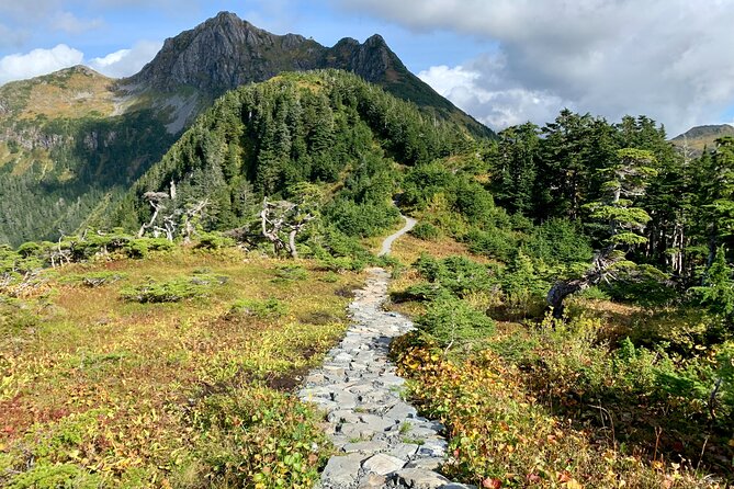Guided Hike in Sitka, Alaska - Tongass National Forest Hiking in Sitka: The Real Point of This Tour
