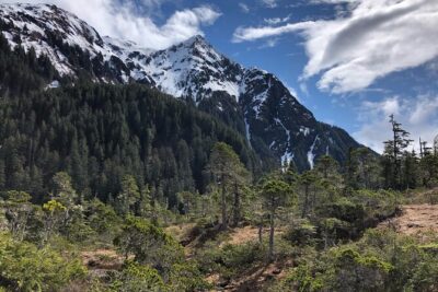 Guided Hike in Sitka, Alaska - Tongass National Forest Trails: What You’re Really Walking Through