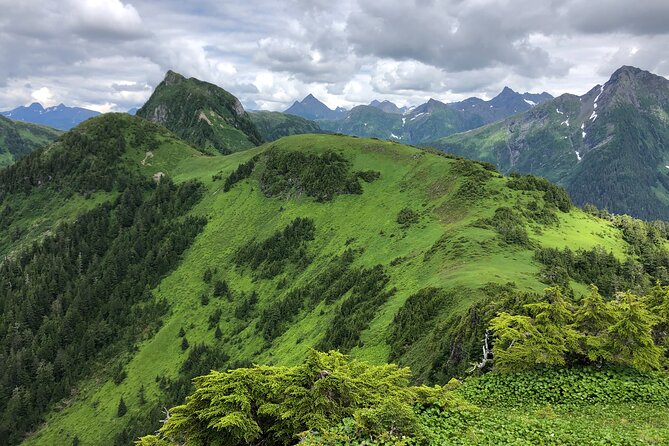 Guided Hike in Sitka, Alaska - Guided Pace and Group Fit: Why Private Works Better in the Tongass