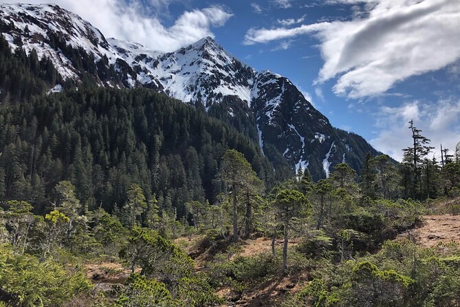 Guided Hike in Sitka, Alaska - Tongass National Forest Trails: What You’re Really Walking Through