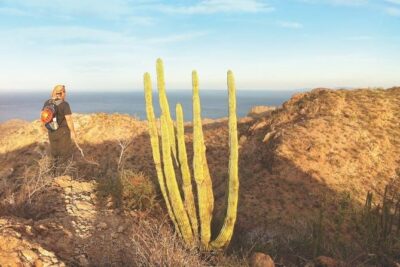 Guided Hike in Tabor Canyon - Tabor Canyon Near Loreto: What You’re Really Paying For
