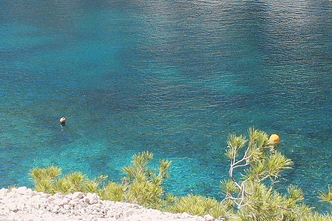 Guided hike in the Calanques National Park - Starting at Luminy: Why the 9am Plan Works