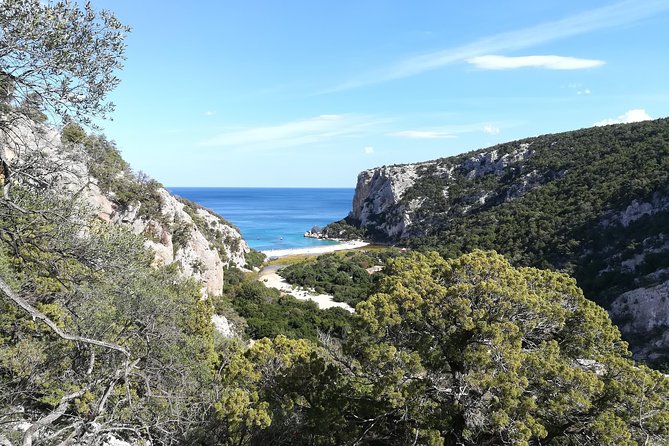 Guided hike to Cala Luna, the pearl of the Gulf of Orosei - The steep return: when the hike becomes the challenge