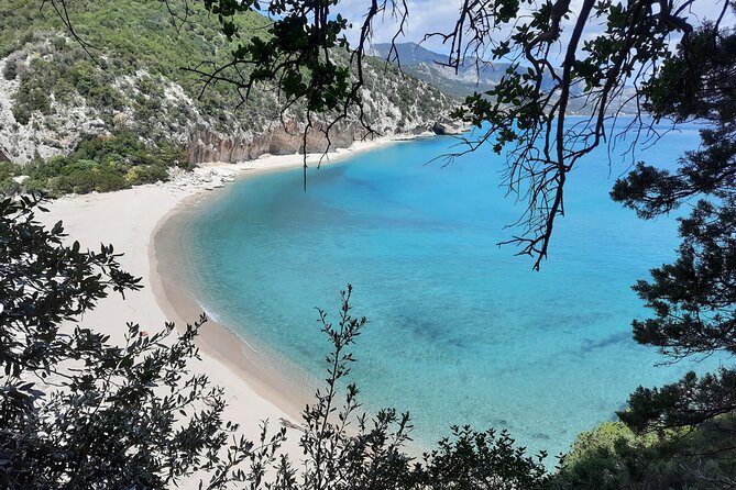 Guided hike to Cala Luna, the pearl of the Gulf of Orosei - Optional boat plan to Cala Gonone: fewer steps, same scenery