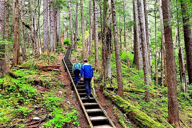 Guided Hike | TONGASS NATIONAL FOREST - Key highlights you’ll actually feel on the ground