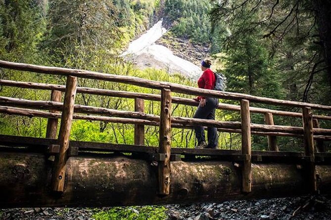 Guided Hike | TONGASS NATIONAL FOREST - Stop 3: Seawalk Totem Pole and the walk along Lincoln St.