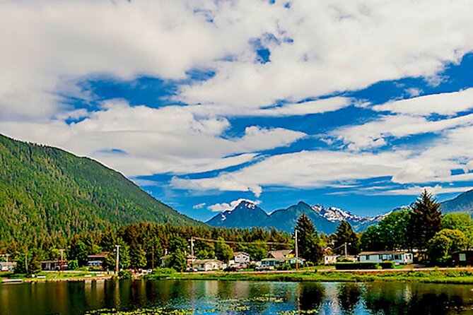 Guided Hike | TONGASS NATIONAL FOREST - Stop 4: Tongass National Forest trail choices—easy gravel, muskeg boardwalk, or a climb