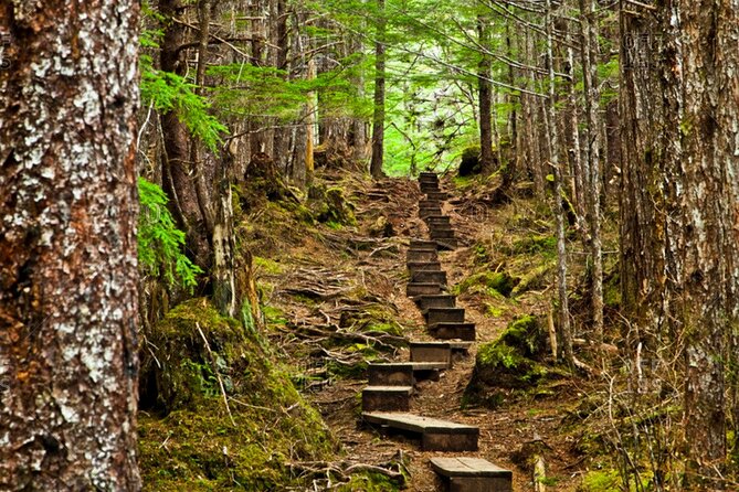 Guided Hike | TONGASS NATIONAL FOREST - What’s included (and why it’s a smart Alaska setup)
