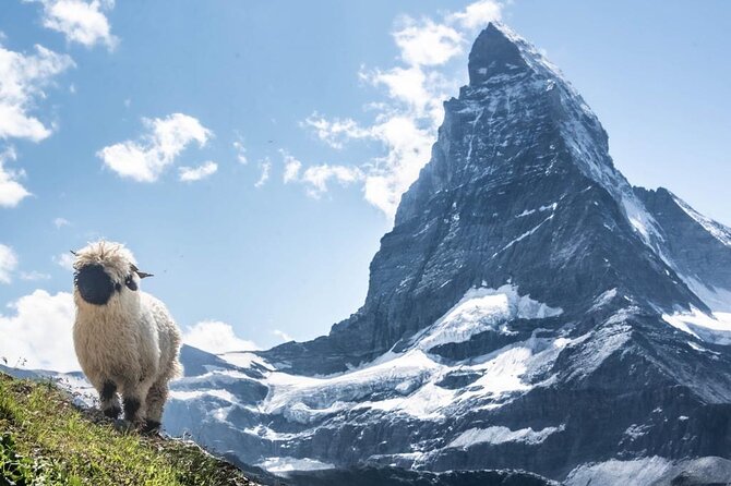 Guided Hiking Half Day in Zermatt - The 3-Hour Reality: How the Schedule Feels on the Ground