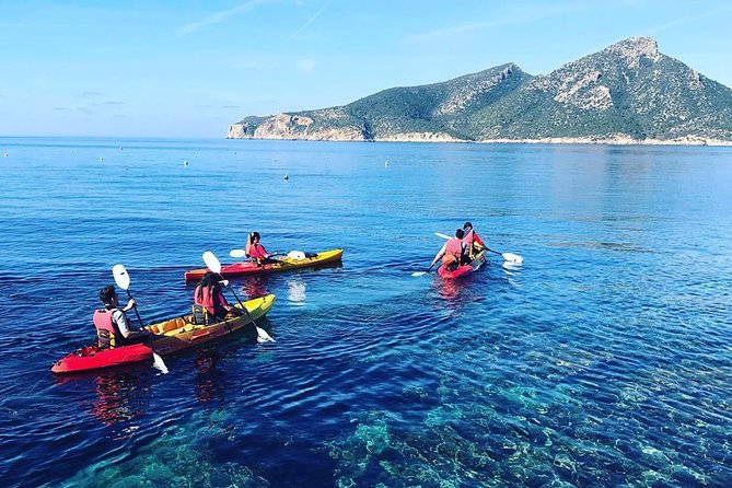 Guided Kayak & Hike from Sant Elm to Sa Dragonera - Key things to know before you go