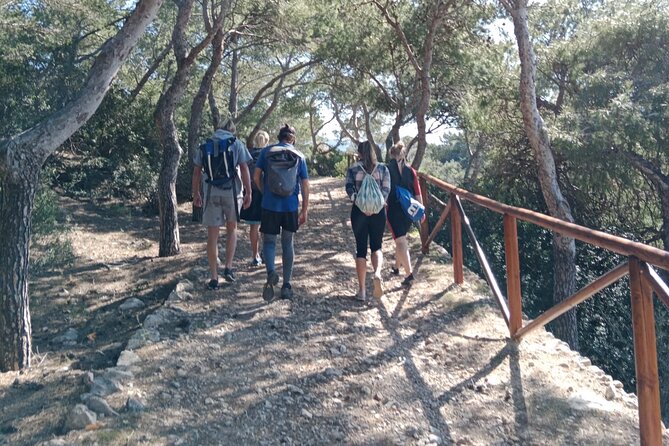 Guided Kayak & Hike from Sant Elm to Sa Dragonera - The island stop: museum context before the hike