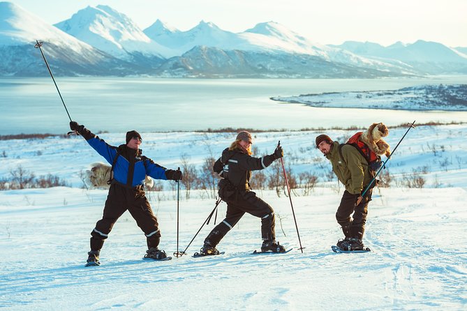 Guided Morning Snowshoe Hike with Huskies - Getting to Tromsø Wilderness Centre: simple start, no guessing