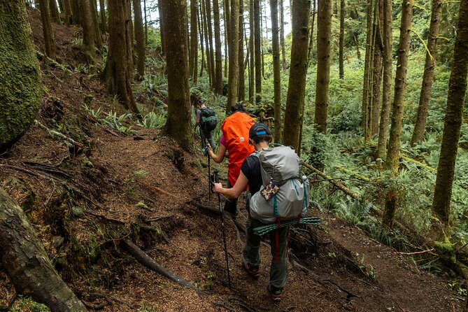 Guided Vancouver Hiking Highlights Day Tour with Gondola Download - Skyride down: 30 minutes of big views with zero leg pain