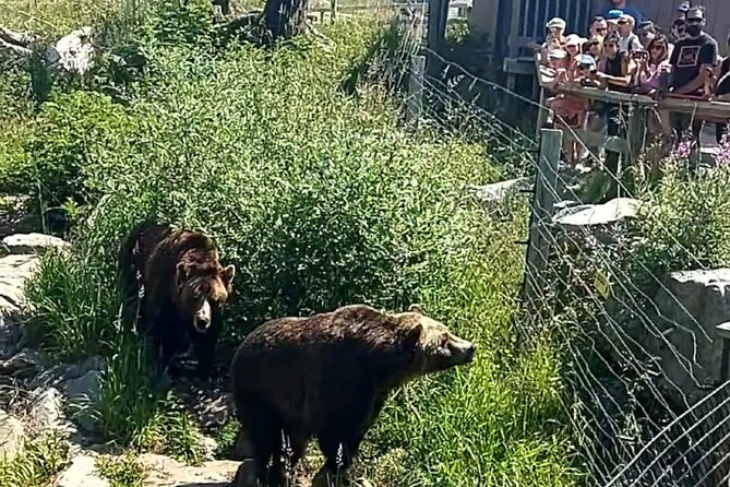 Guided Vancouver Hiking Highlights Day Tour with Gondola Download - Twin Falls and Lynn Canyon Park trails: gentle nature payoffs