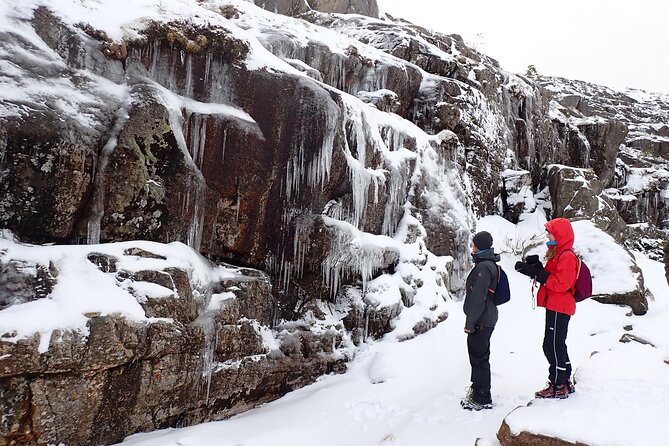 Guided winter hike to Pulpit Rock Preikestolen - Why the Guides Matter: Help That Keeps You Confident