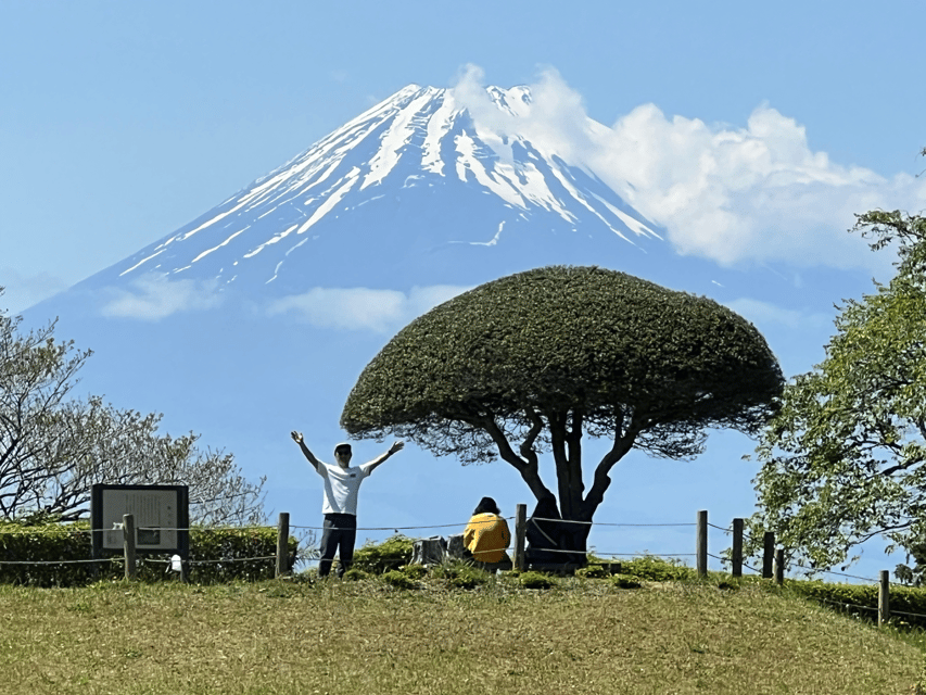 Hakone Hachiri: Old Tokaido Highway Hiking Tour - Key things that make this tour work